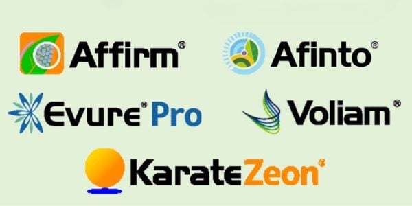 I cinque insetticidi della gamma Syngenta: Affirm, Afinto, Evure Pro, Voliam e Karate Zeon