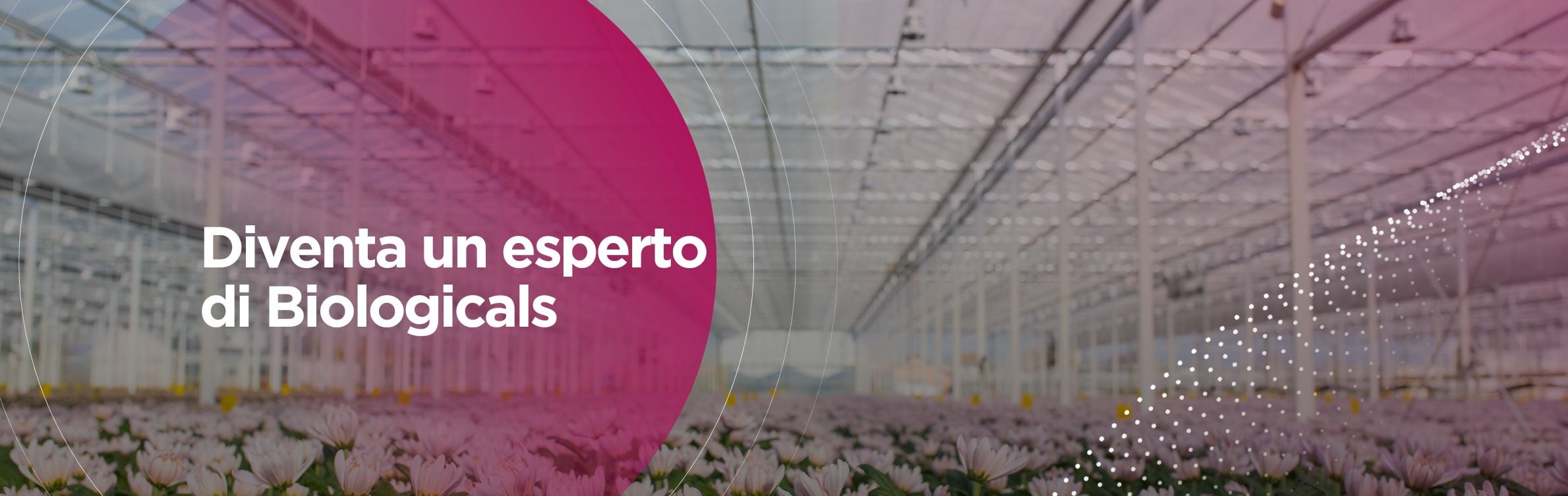 Header biologicals