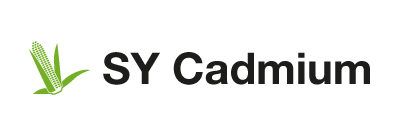 Sy Cadmium: L’ibrido ideale per produrre trinciato in seconda semina