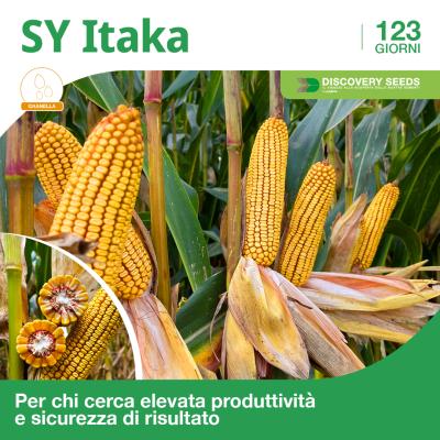 itaka discovery