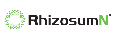 Rhizosum N