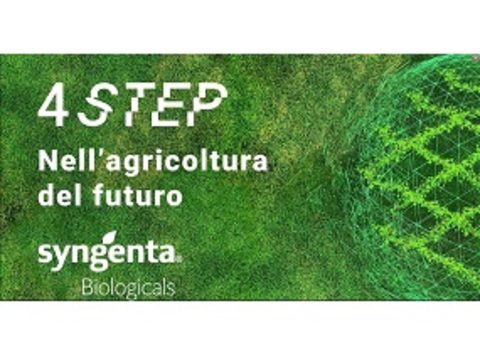 4_step_ SYNGENTA BIOLOGICALS