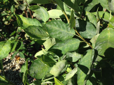 Blog 9