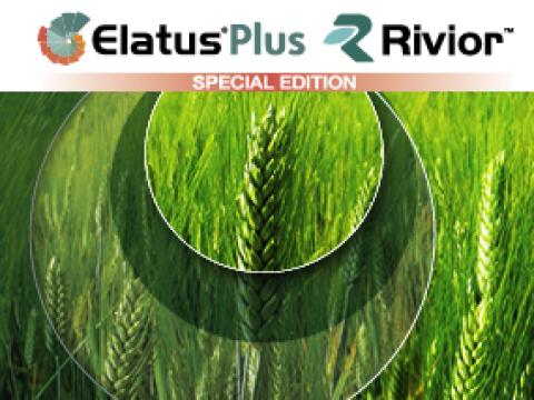 Elatus_plus_Rivior_banner