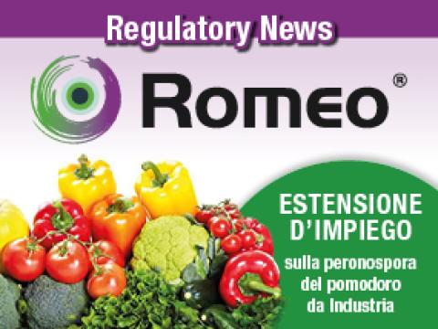 Romeo_regulatorynews_miniatura