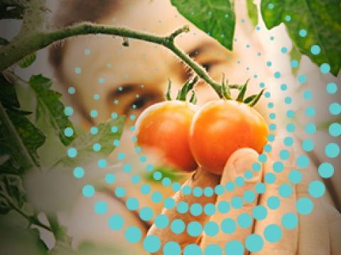 Biocontrollo_Syngenta