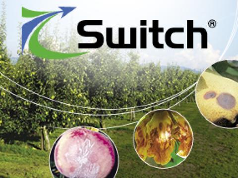 Switch_Syngenta