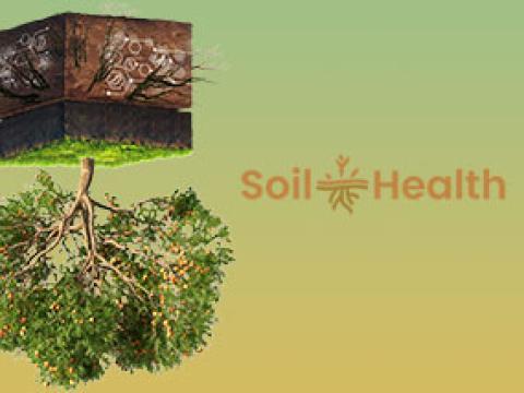 Soil Health 
