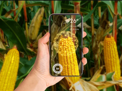 cropwise open