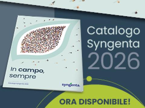catalogo_2026_