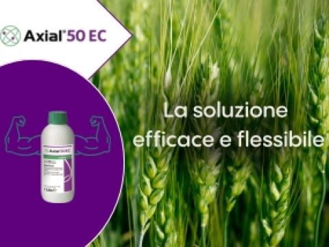 Axial_50_EC