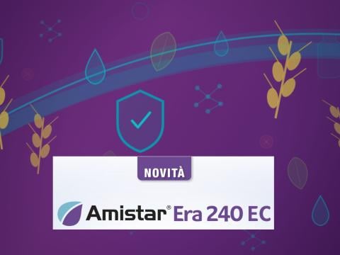 amistar era header