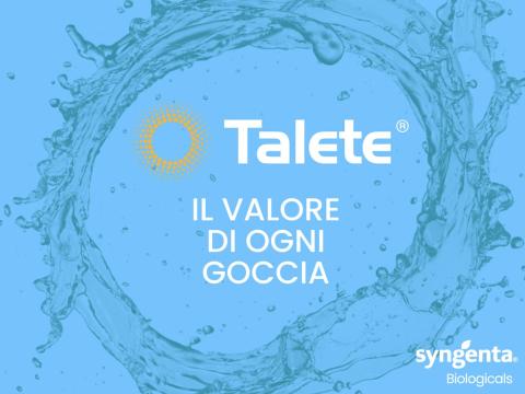 talete immagine principale