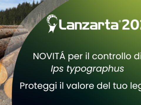 lanzarta reg emergenza