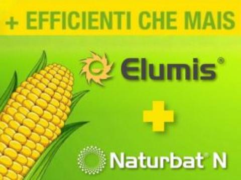 Elumis_Azotobacter thumbnails Article