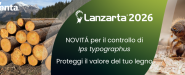 lanzarta reg emergenza
