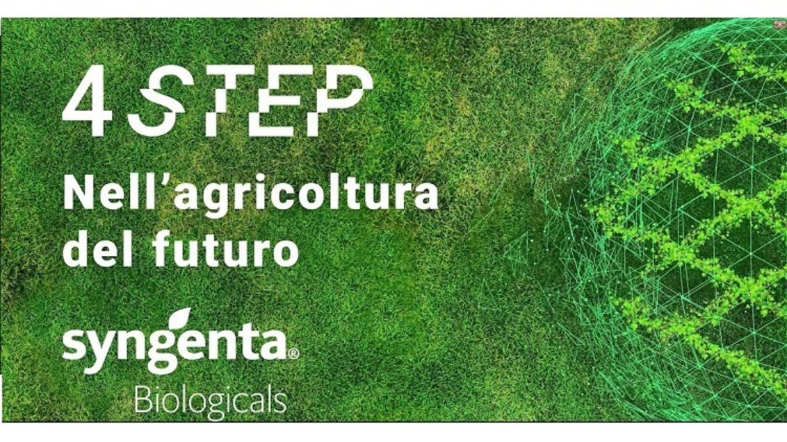 4_step_ SYNGENTA BIOLOGICALS