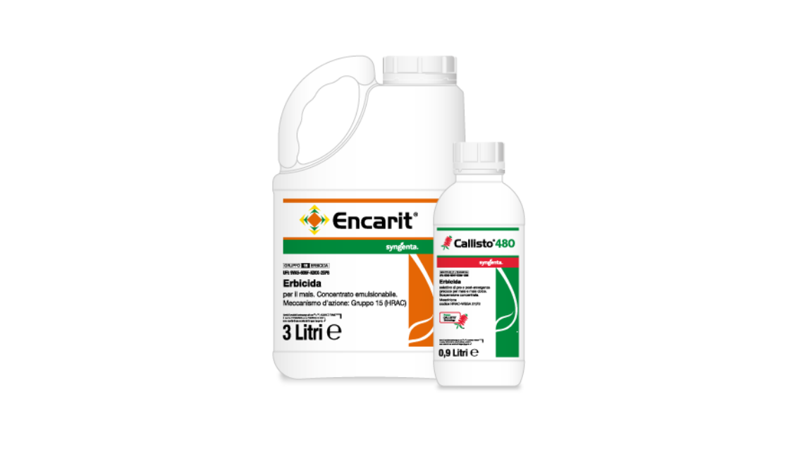 3 ettari