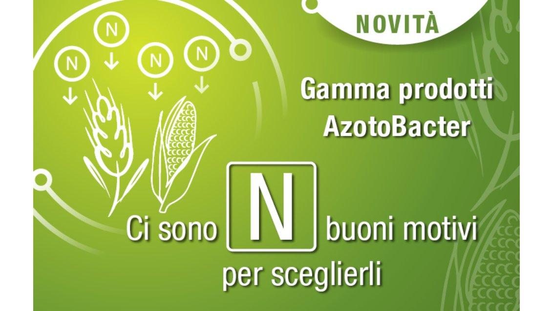 azoto syngenta