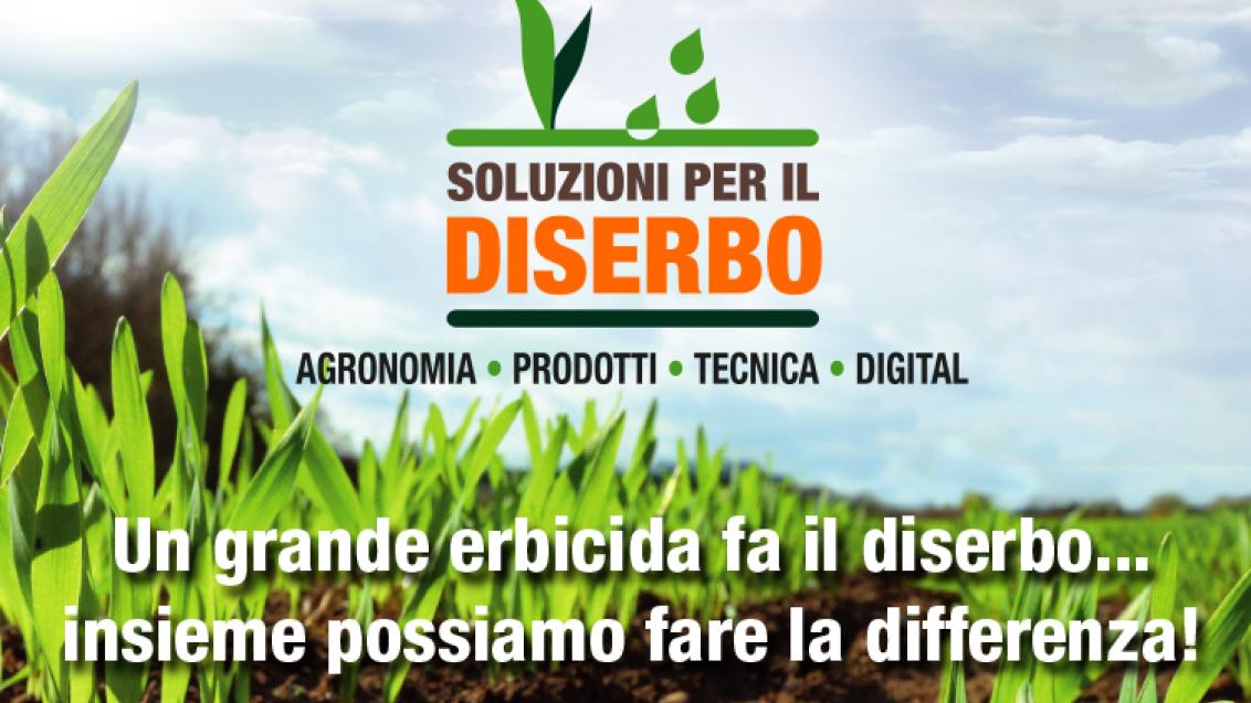 Diserbo cereali Syngenta 