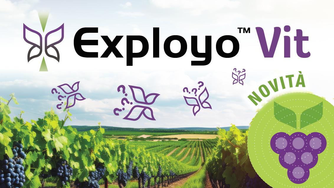 Exployo Vit syngenta