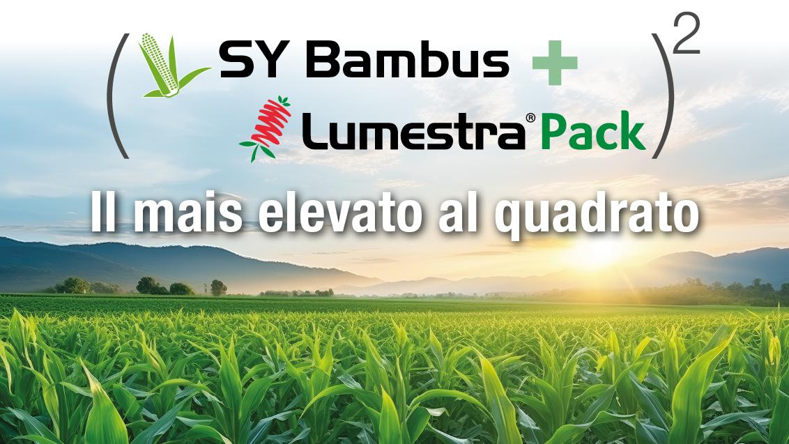 bambus e lumestra pack syngenta
