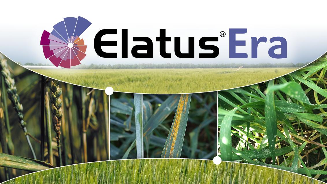 elatus era protezione syngenta
