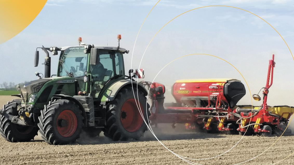 semine mais syngenta 