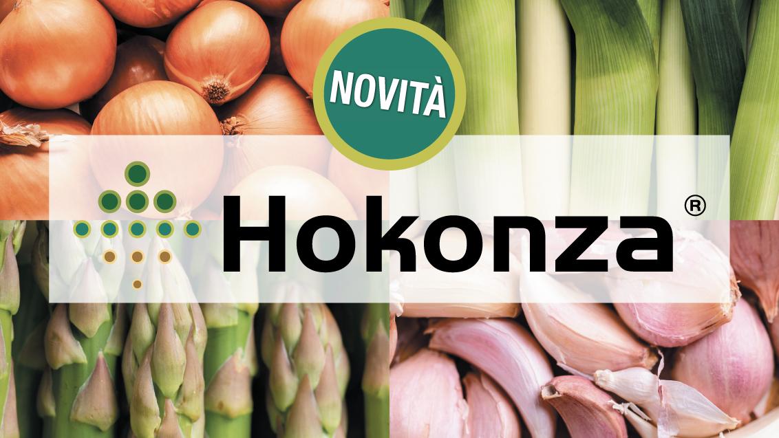 hokonza syngenta liliacee