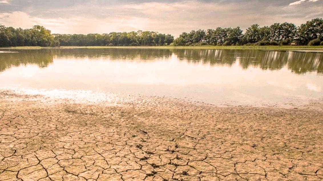 scarsita idrica soluzioni syngenta 