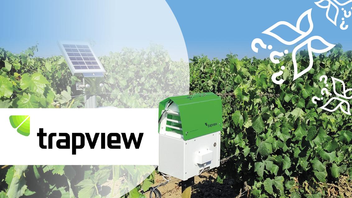 Trapview Syngenta