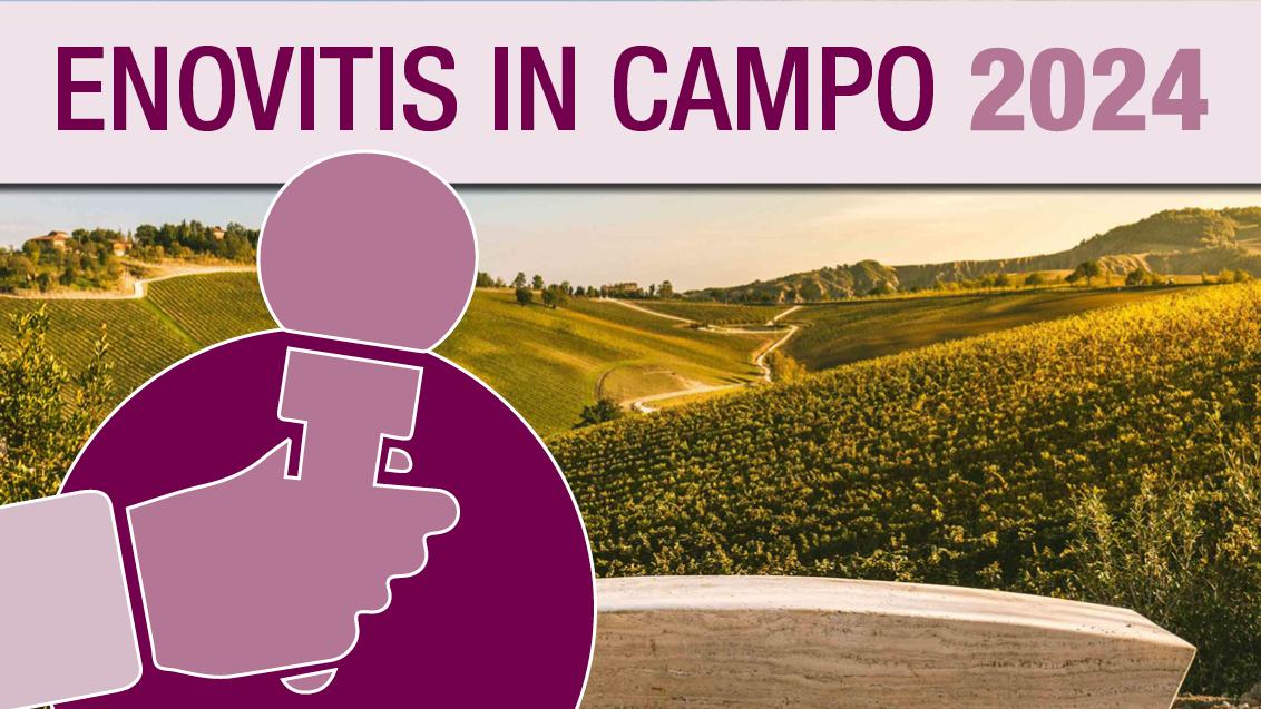 enovitis syngenta 2024