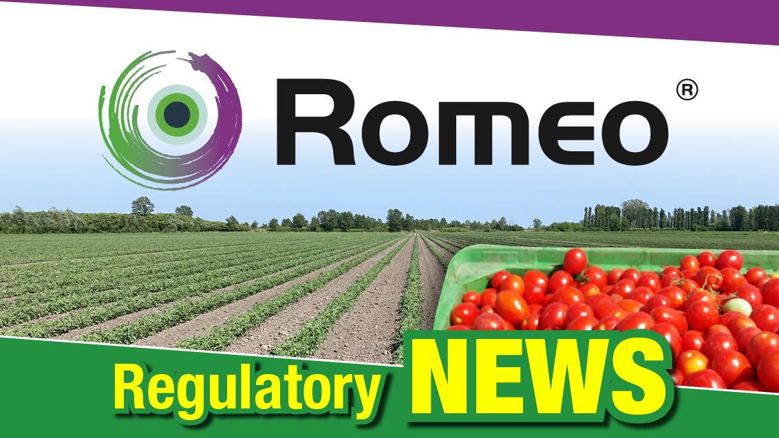 romeo autorizzazione peronospora pomodoro