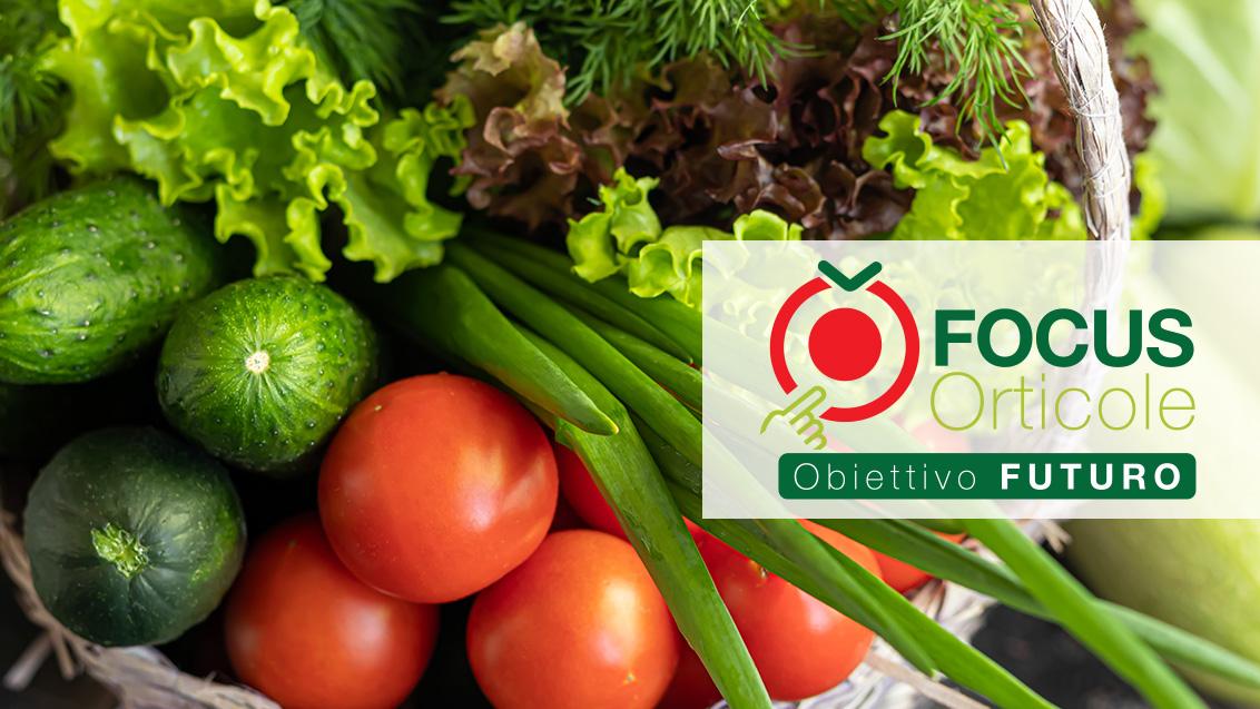 Focus Orticole Obiettivo Futuro