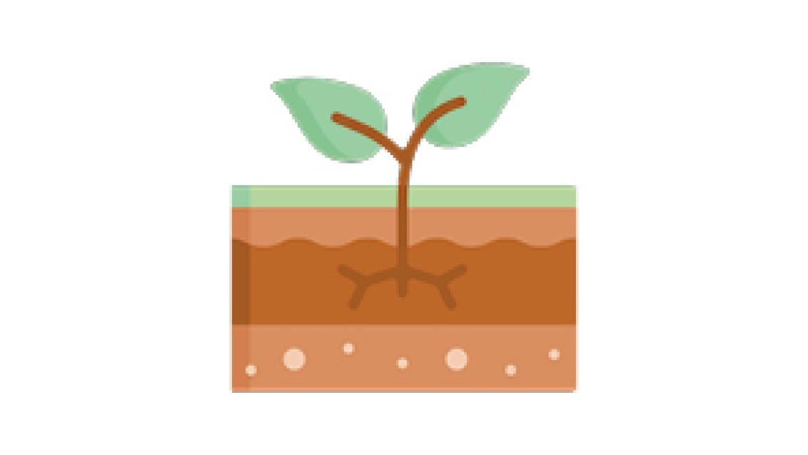 296x166_banner_simboli_cheidea_syngenta3.jpg