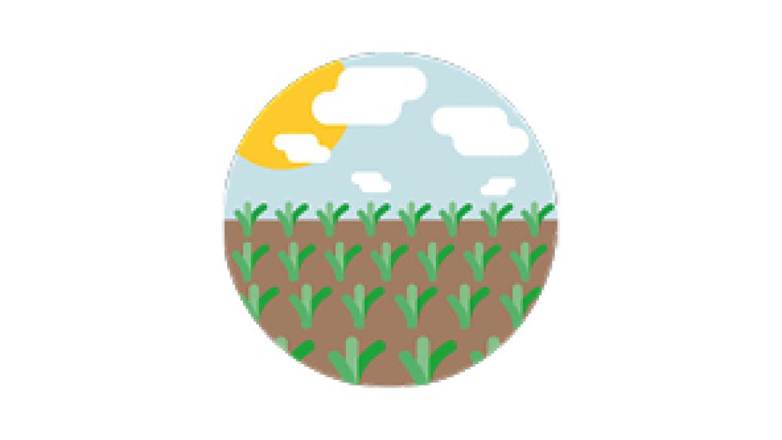 296x166_banner_simboli_cheidea_syngenta