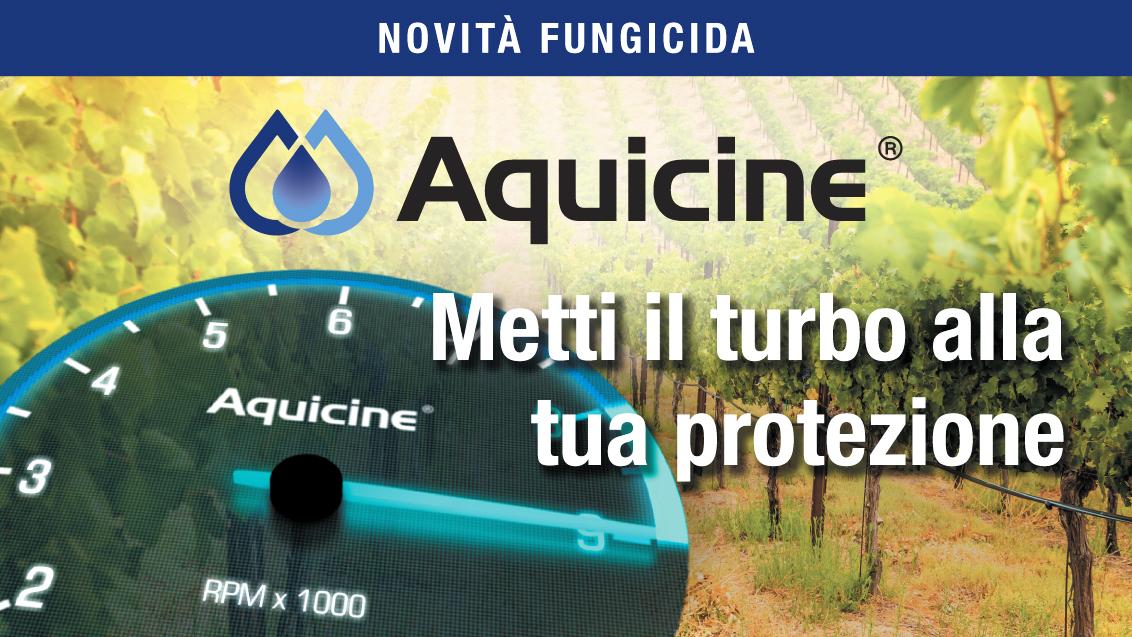 Aquicine_header