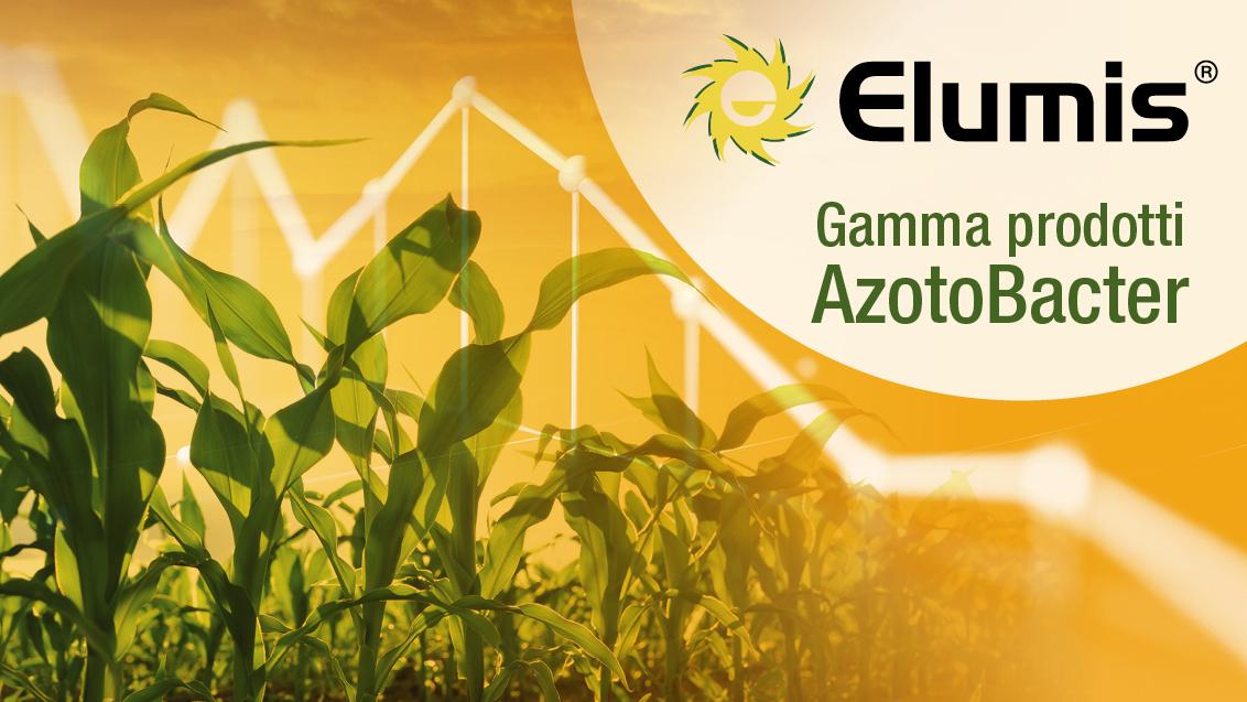 Elumis_Header