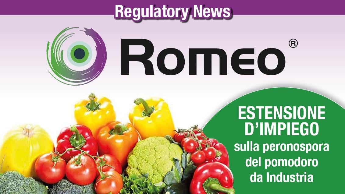 Romeo_regulatorynews_header