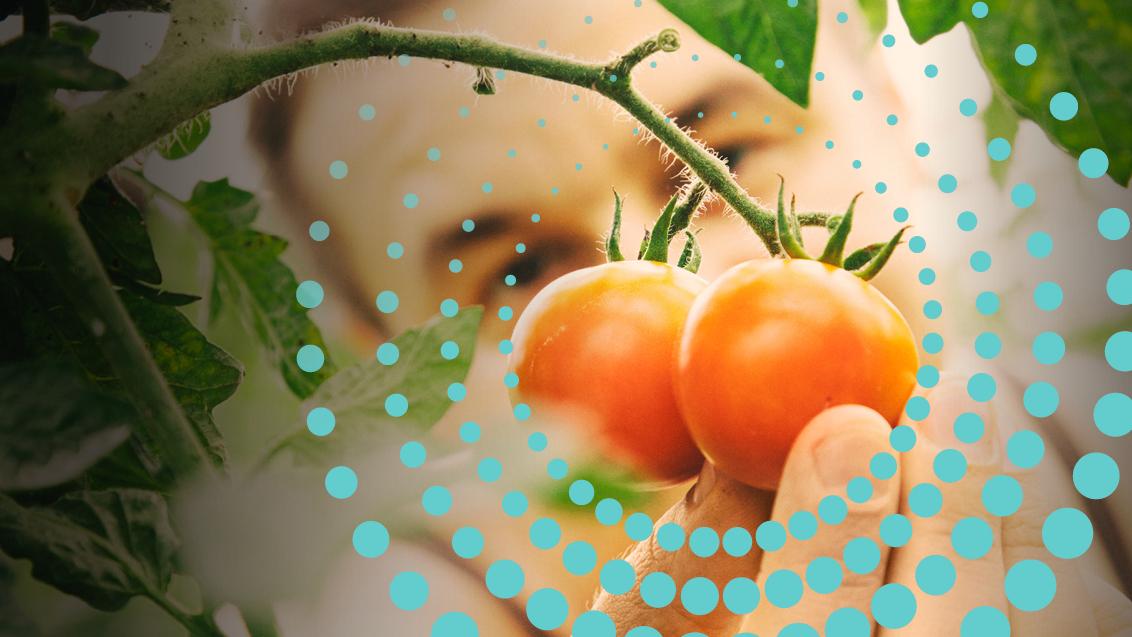 Biocontrollo_Syngenta