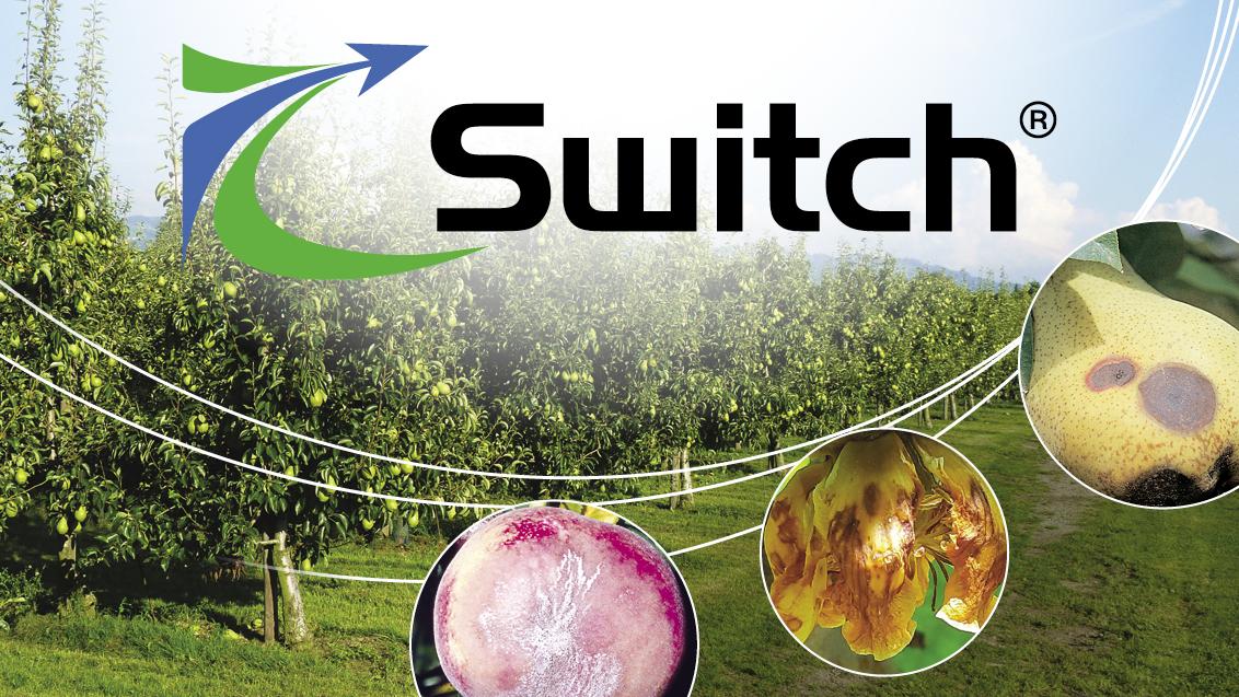 Switch_Syngenta