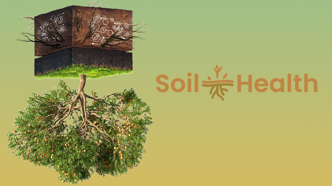 Soil Health 