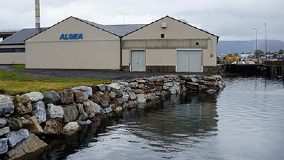 Algea Crescita e diversificazione