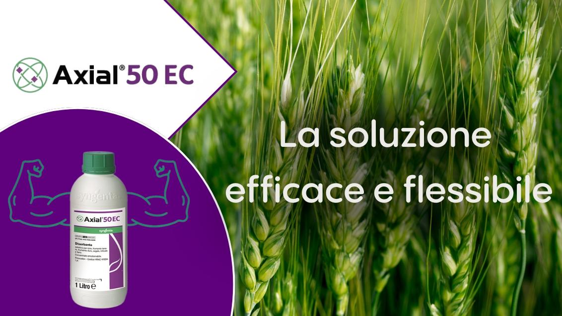 Axial_50_EC