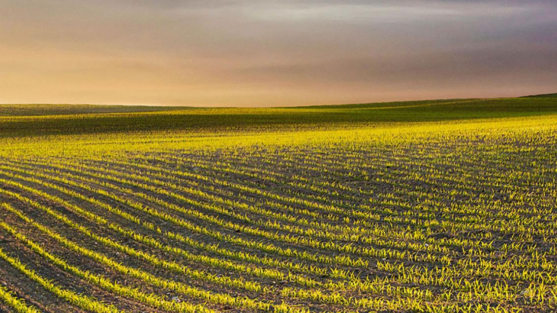 header speciali protection