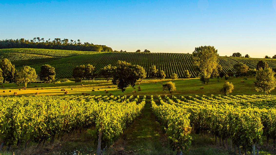 header biocontrollo protezione