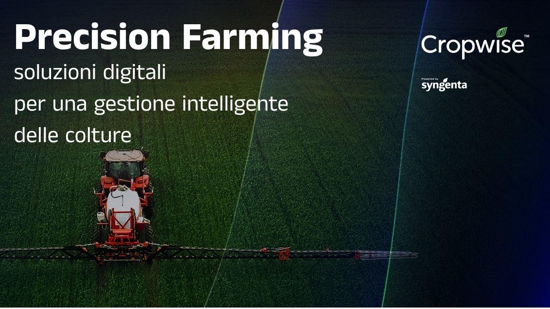 top banner cropwise 3