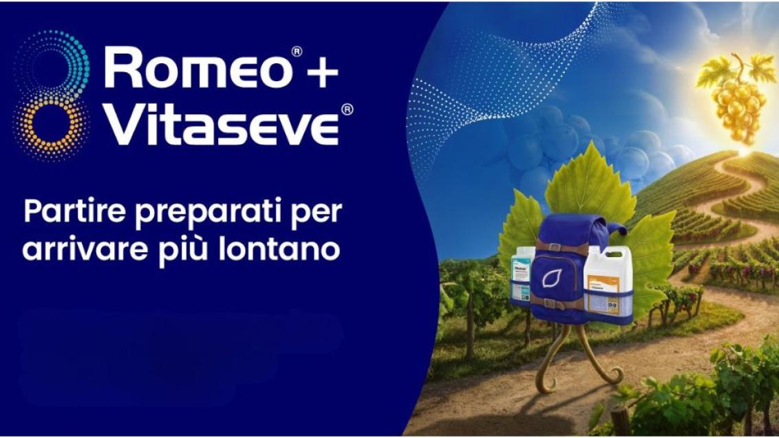 Alternative HP Romeo Vitaseve