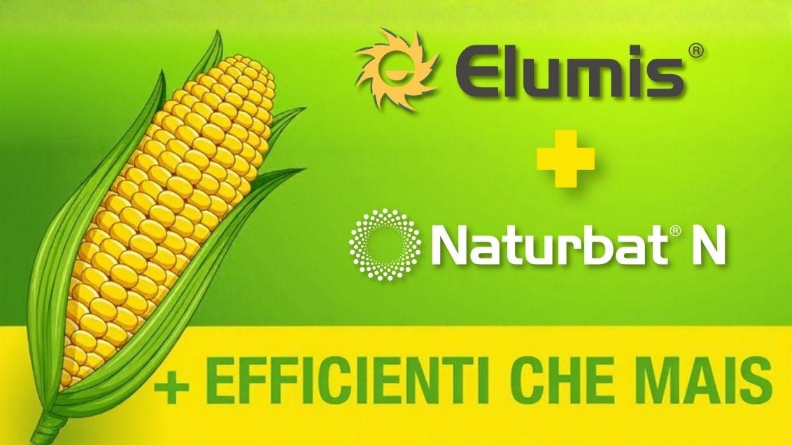 elumis naturbat logo header