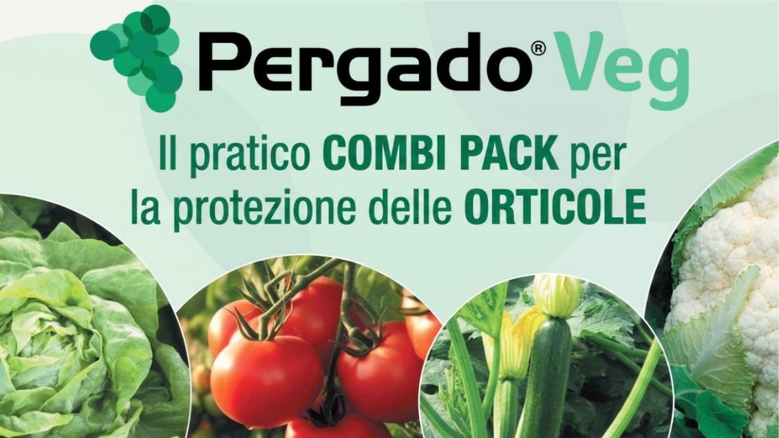 pergado veg 2026